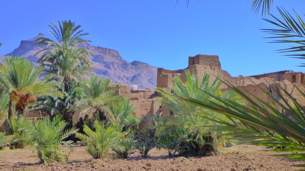 Le Chant Des Palmiers أكدز المظهر الخارجي الصورة